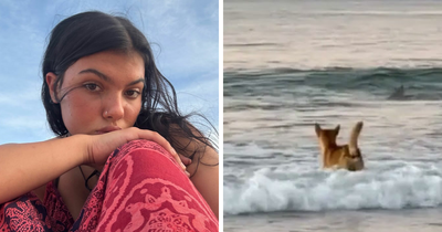 Autopsy Results Uncover Startling Clues In Case Of Canadian Teen Found Among Dingoes