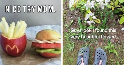40 Memes That Feel Like They Came From A Completely Different Internet