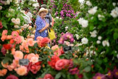 The emergency RHS plans protecting its gardens from threat of water droughts: ‘Adapting to the new normal’