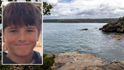 Schoolboy loses fight for life after shark attack