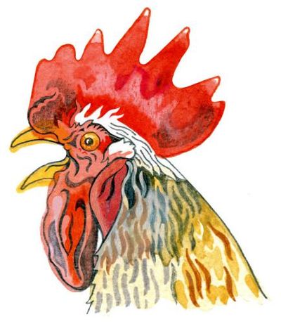 Why do chickens cluck and why do eggs have shells? The kids’ quiz