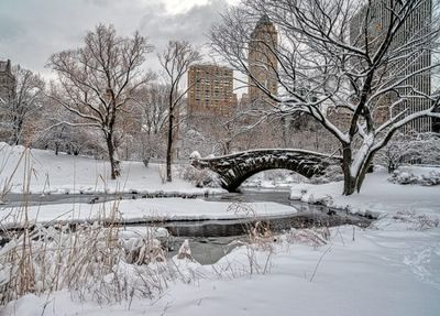 6 New York Counties Expected to See Over 12 Inches of Snow This Sunday