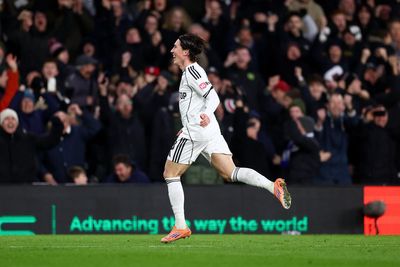 Fulham 2-1 Brighton: Harry Wilson the saviour as late free-kick downs Seagulls