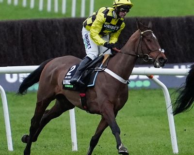 Sir Gino pulled up with suspected pelvic injury in International Hurdle