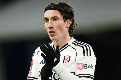 Fulham must fight to keep Harry Wilson, warns boss Marco Silva