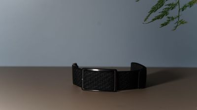 Polar Loop review: a Whoop-alike with personality issues