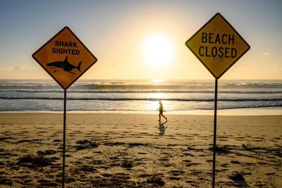 Could Sydney’s creaking sewerage system be linked to the spate of shark attacks?