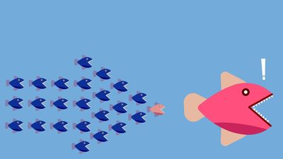 Small-Cap Stocks Gain Momentum. That's Good News for This iShares ETF