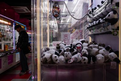 The last two pandas in Japan are leaving for China as ties are strained