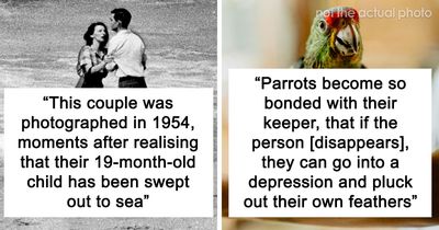 30 Unsettling Facts That Are So Creepy They Might Make You Close The Tab Immediately