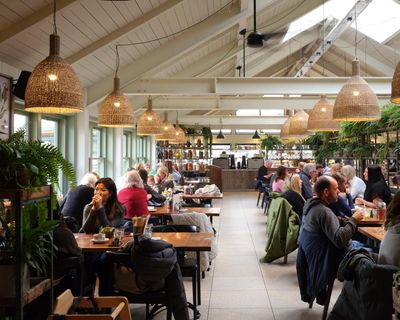 Tin Roof Cafe, Maldon, Essex: ‘Come for topsoil, stay for the shortbread’ – review