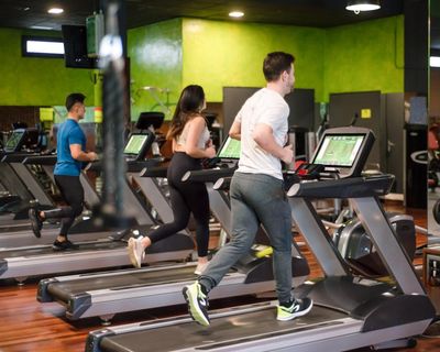 Fitness fraud: gym goers warned over fake deals on memberships and personal trainers