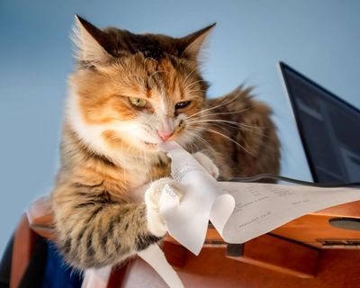 To shred or not to shred? Is it OK to throw out sensitive documents?