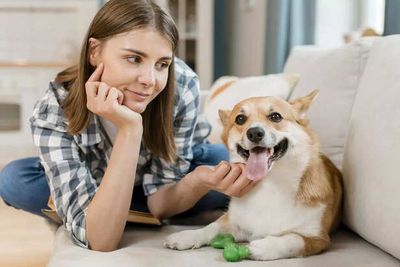 Can Pets Sense Negative Energy?