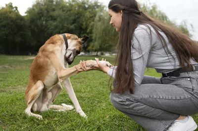 Your Dog’s Paw Might Be Saying I Need You