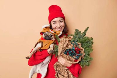 Top 8 Pet Costumes For Christmas This Year