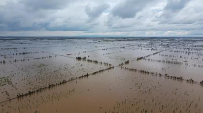 The return of Pa’ashi as Tulare Lake floods California farmland again after 130 years