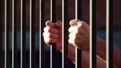 Virginia Democrats face pushback over bill allowing less prison time for rapists, manslaughter convicts