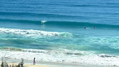 Autopsy of Canadian teen found on Australian beach points to drowning; dingo bites likely after death