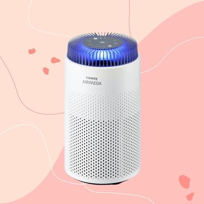 I didn’t think a £75 air purifier would make a difference in my family home – but it’s compact, quiet and surprisingly effective