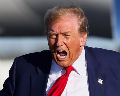 ‘You don’t want to live inside his head’: diplomats’ dilemma in the age of Trump