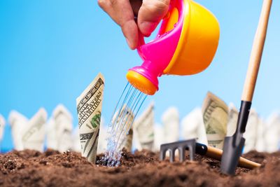 Is Starting a Small Garden Cheaper Than You Think?