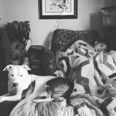 A Blast from the Past – Izzy Update