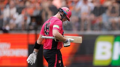 Calls grow for Smith to earn T20 World Cup call-up
