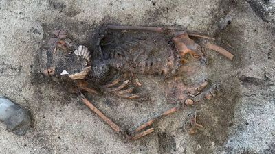 Sweden unearths a 5,000-year-old dog buried with a dagger, hints at elite treatment