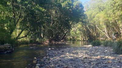Two Men Dead After Drowning In A River In NSW’s Mid North Coast