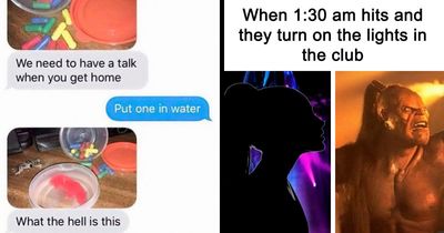 92 Random Memes That Made Scrolling Way More Enjoyable