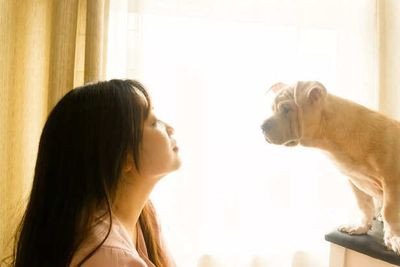 Pets and Mental Health: How Animals Help Humans Heal