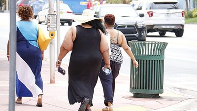 Being overweight causes vascular-related dementia, major study finds
