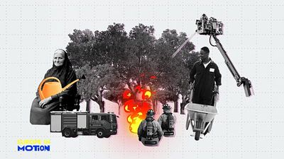 Europe's forests: Where are they growing fastest?