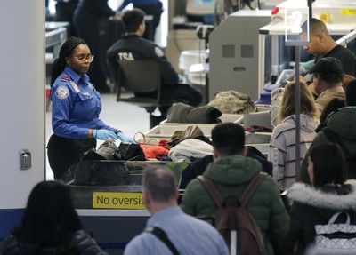 ‘Stop hiding animals’: TSA lists unusual objects people tried to sneak on planes