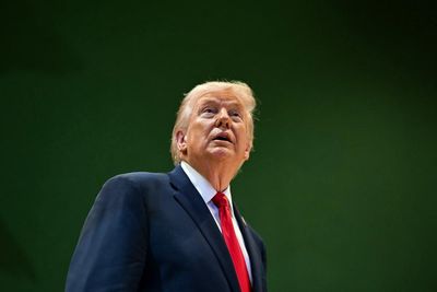 Fraud focus: why is Trump granting clemency to convicted fraudsters?