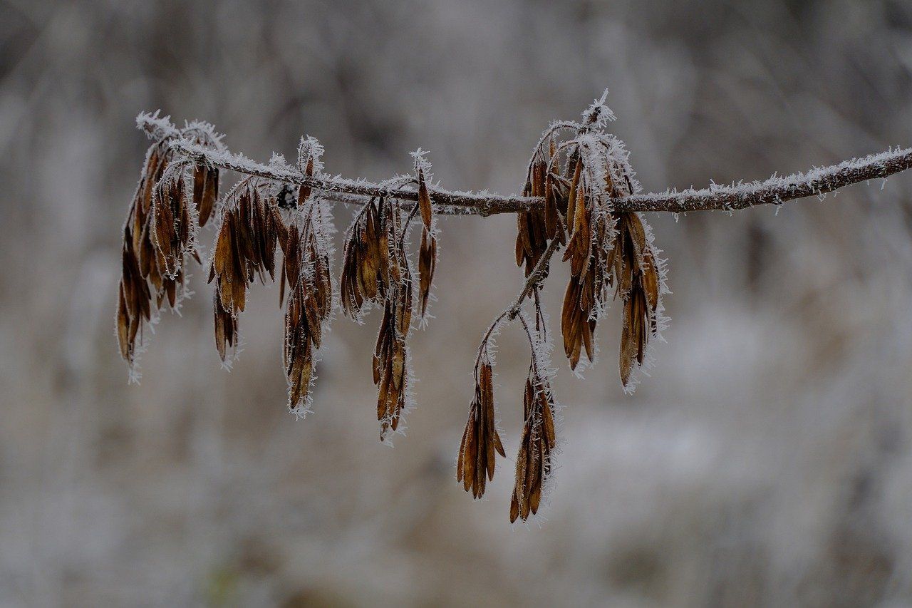 Extreme Cold Safety Tips: Your Complete Winter…