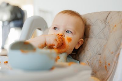Virginia Law: The “Baby Food Protection Act” Just Banned These Brands from Shelves
