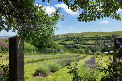 Visit Wales launches new meditation podcast series