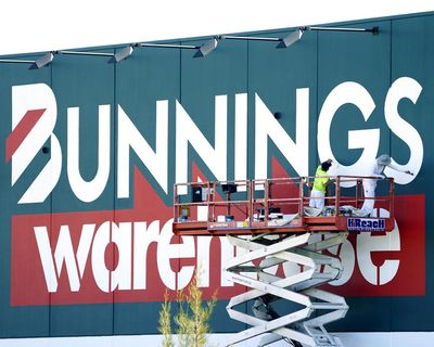 Bunnings accused of ‘greenwashing’ timber amid concerns about supplier’s illegal logging