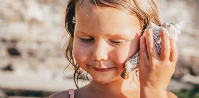 Where do seashells come from?