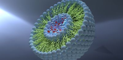 The invisible bubbles that spread cancer could also help stop it