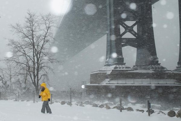 US winter storm: at least 15 people dead and 800,000 without power