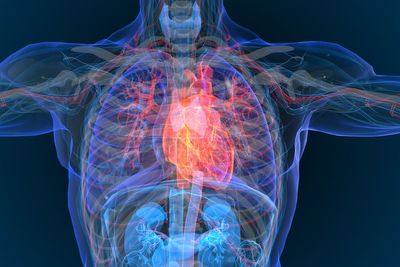 The drug that could treat gout – and reduce heart attack risk