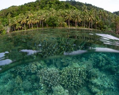 The government must act now on biodiversity loss and ecosystem collapse