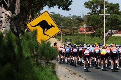 'It was just pinballing inside the group there' - kangaroos cause chaos at the Tour Down Under