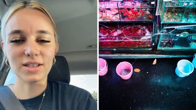 California woman goes to the pet store. Then worker talks her into adopting an unlikely animal: ‘Meet Wallace’