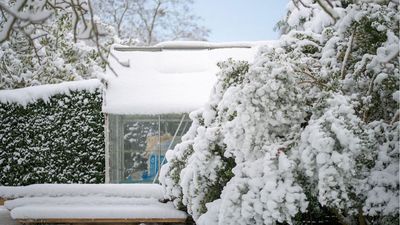 Your Greenhouse Might Collapse if Snow Isn’t Cleared in Time – Here’s How to Do It Safely and Avoid Damage