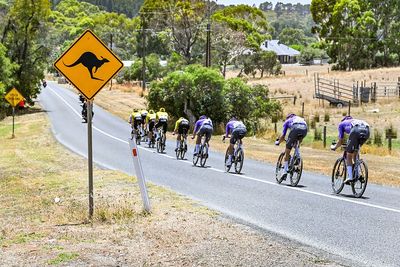 Teams confirm fractures for two riders injured in kangaroo crash in Tour Down Under