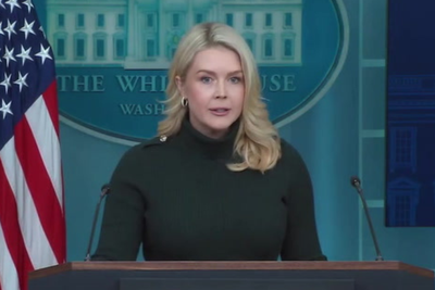 White House blames Minnesota Democrats and distances Trump from Alex Pretti ‘assassin’ remarks